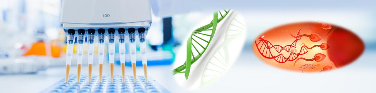 精斑性侵案件DNA核酸純化試劑盒