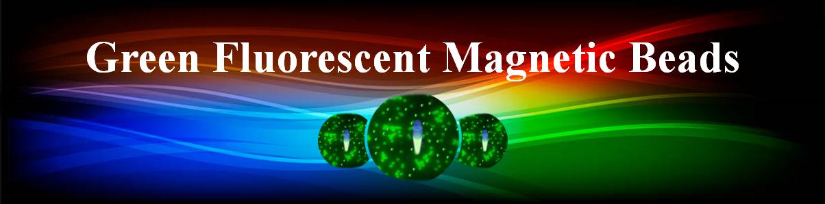 用于敏感分析的亮綠色胺基鋱熒光磁珠 用于敏感分析的亮綠色胺基鋱熒光磁珠